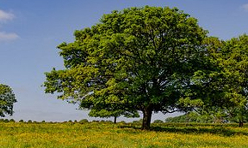 Beverley_Parks_Nature_Reserve